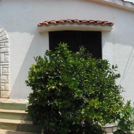 Sunflower Apartment Opatija Rom bilde